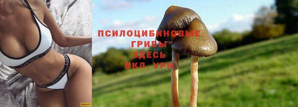 круглые Балахна