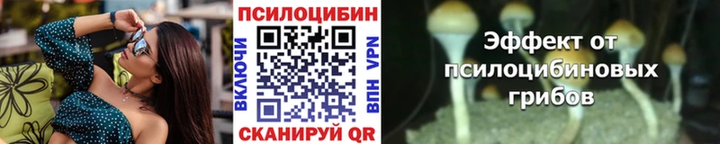 Псилоцибиновые грибы Psilocybine cubensis Долгопрудный
