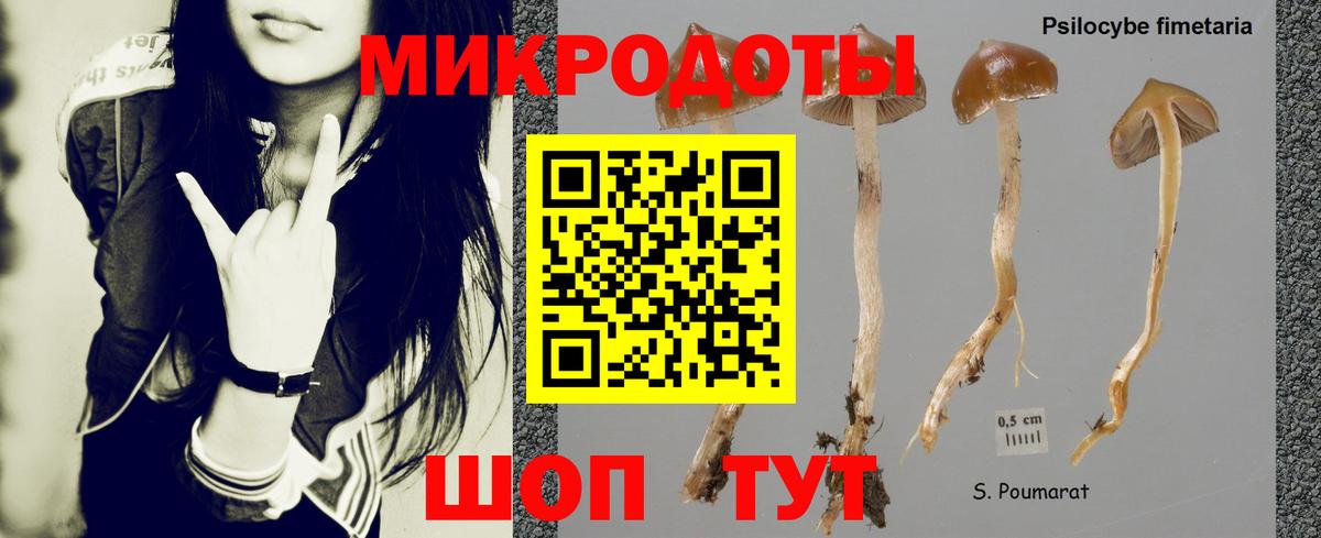 Галлюциногенные грибы MAGIC MUSHROOMS Долгопрудный
