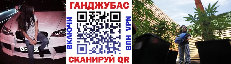 где продают   omg tor  Конопля марихуана  Долгопрудный 